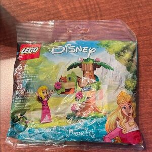 LEGO Disney Princess Adventure Set with Pink and Green